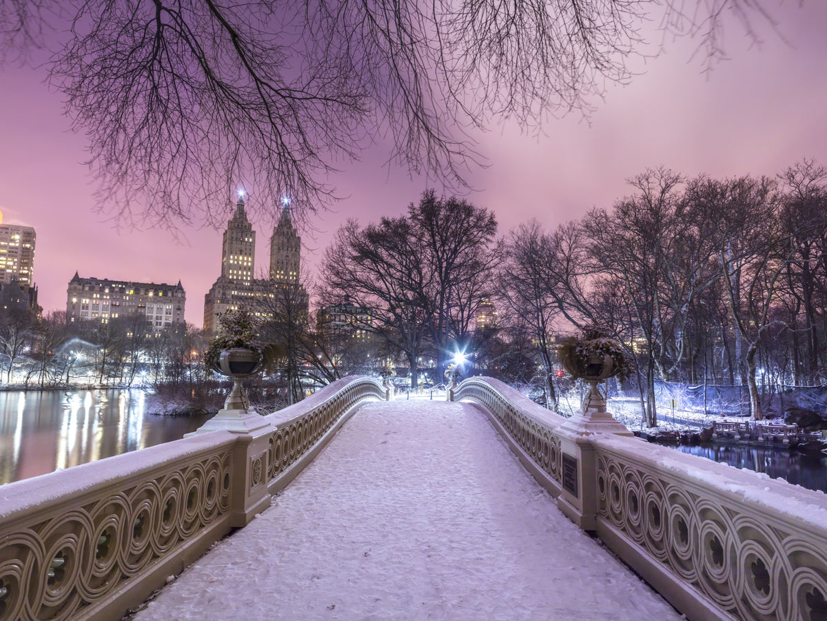Bow Bridge Winter: Central Park's Pink Dusk Wall Mural
