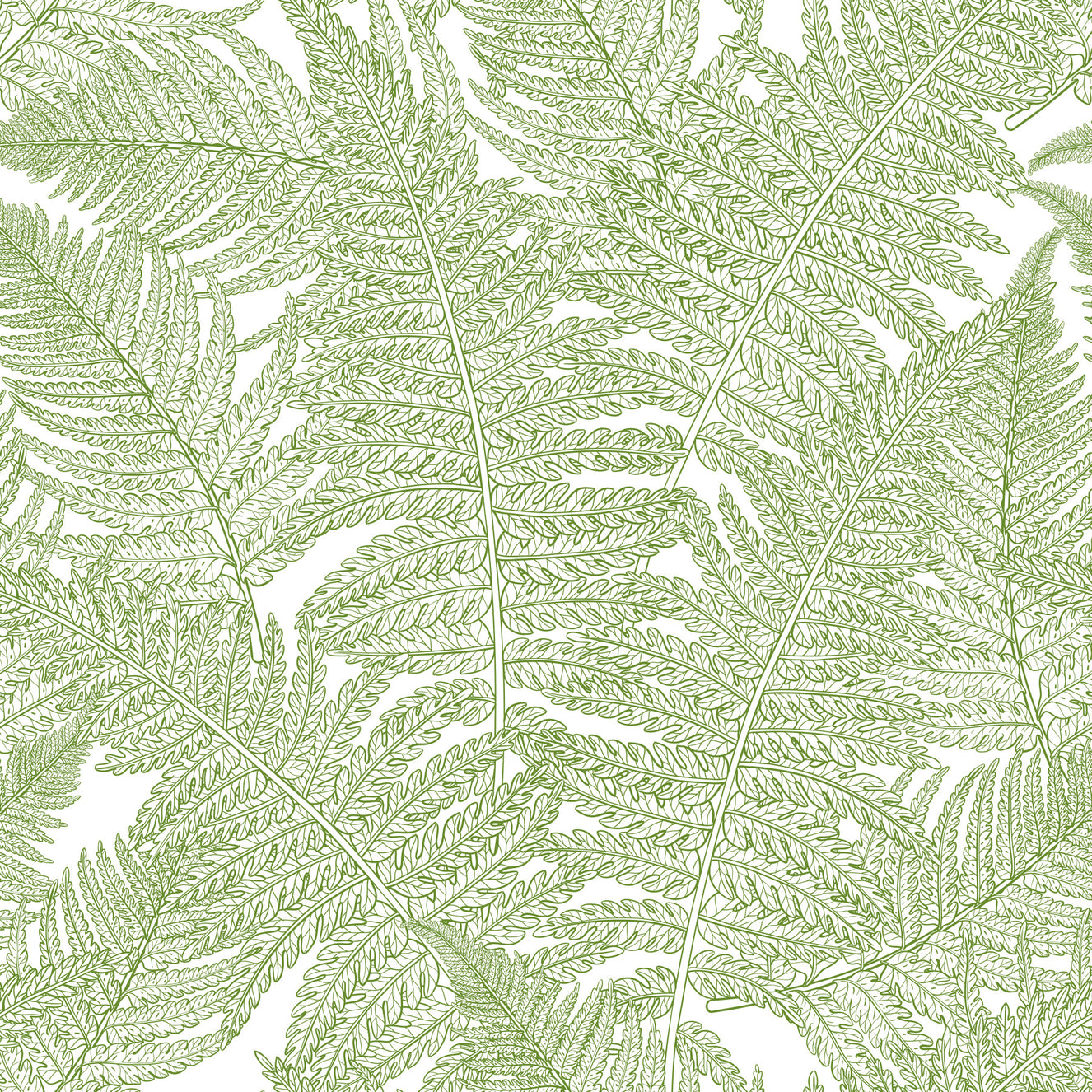 Serene wallscapes: Fern Wallpaper⁠
