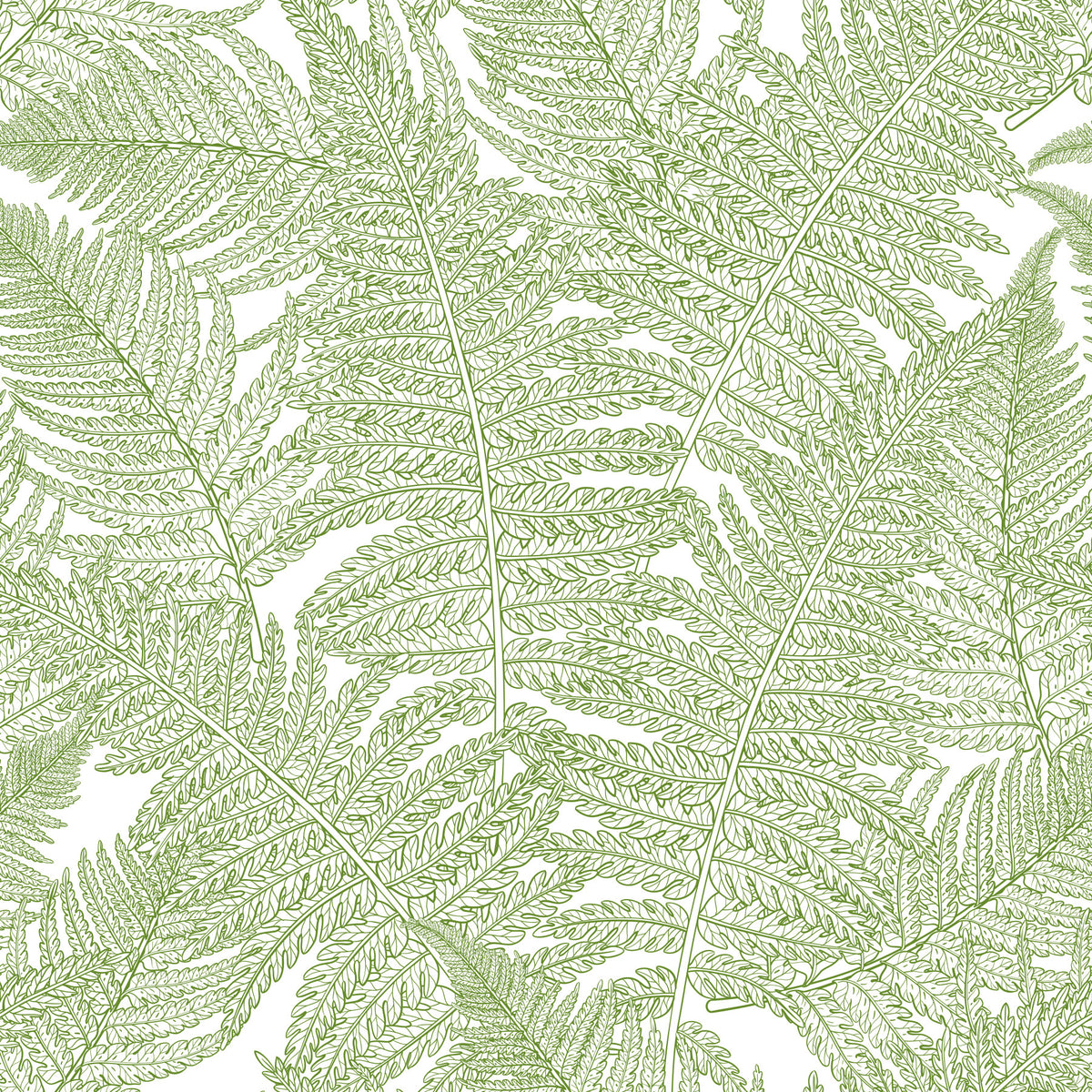 Serene wallscapes: Fern Wallpaper⁠