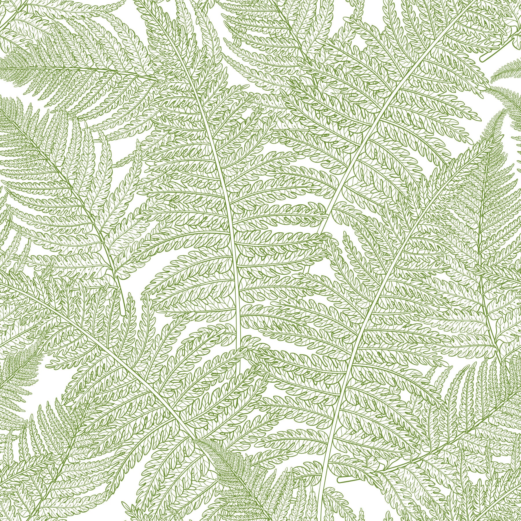 Serene wallscapes: Fern Wallpaper⁠