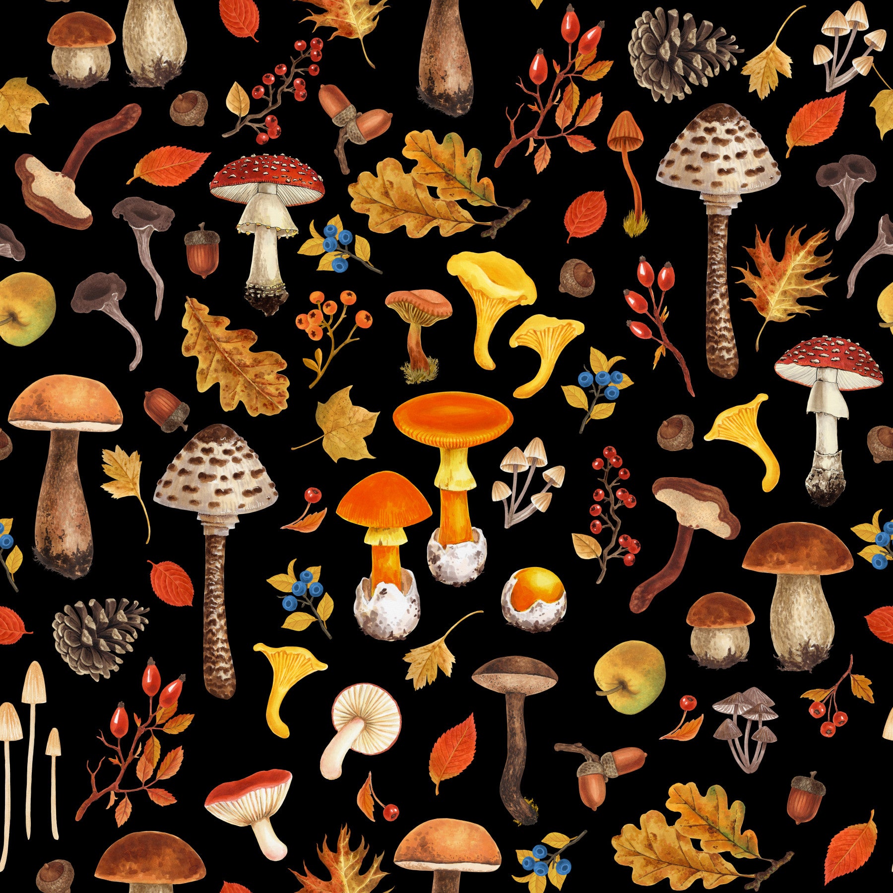 Wild mushrooms on black Wallpaper⁠