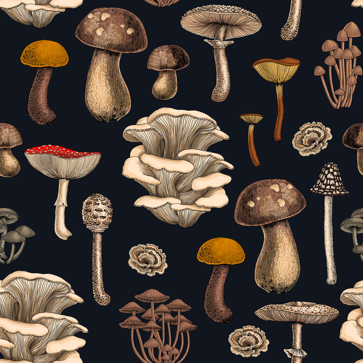 Wild Mushrooms  on graphite black Wallpaper⁠ in your room — zoomed