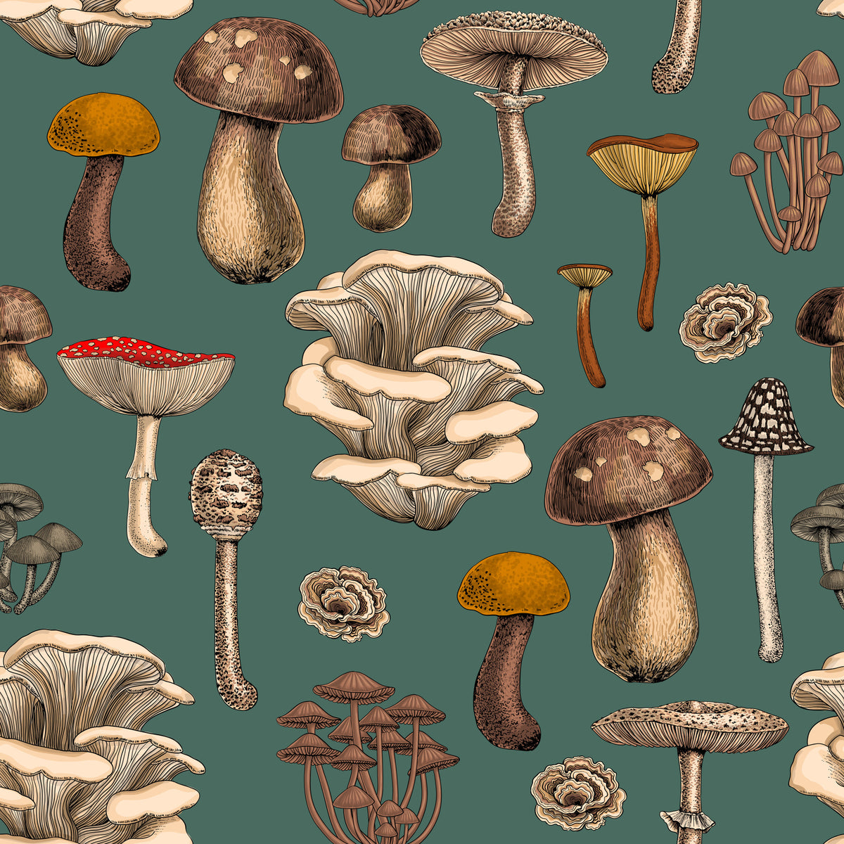 Wild Mushrooms  on pine green Wallpaper⁠ in your room — zoomed