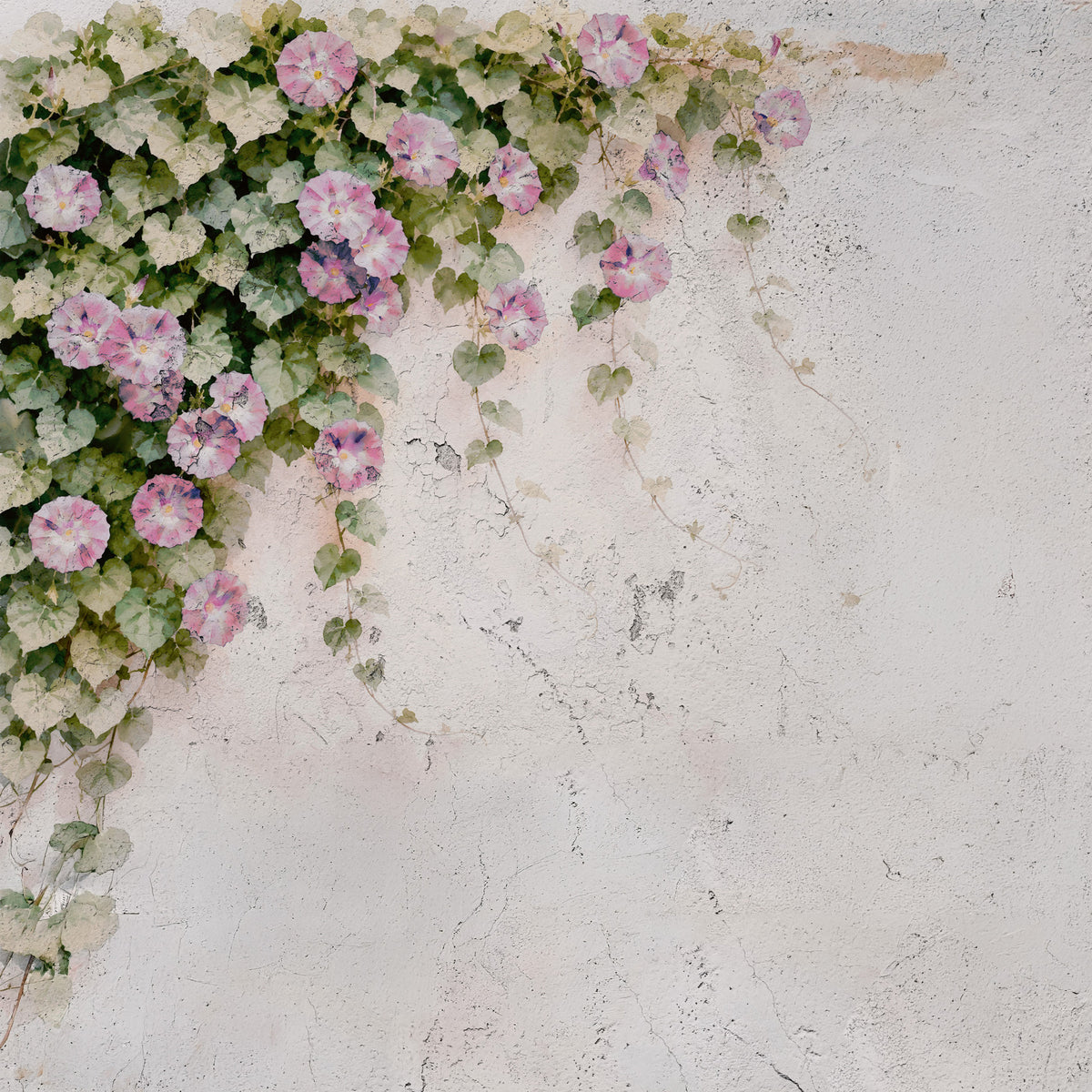Blush Vines, Rustic Charm Wall Mural in your room — zoomed