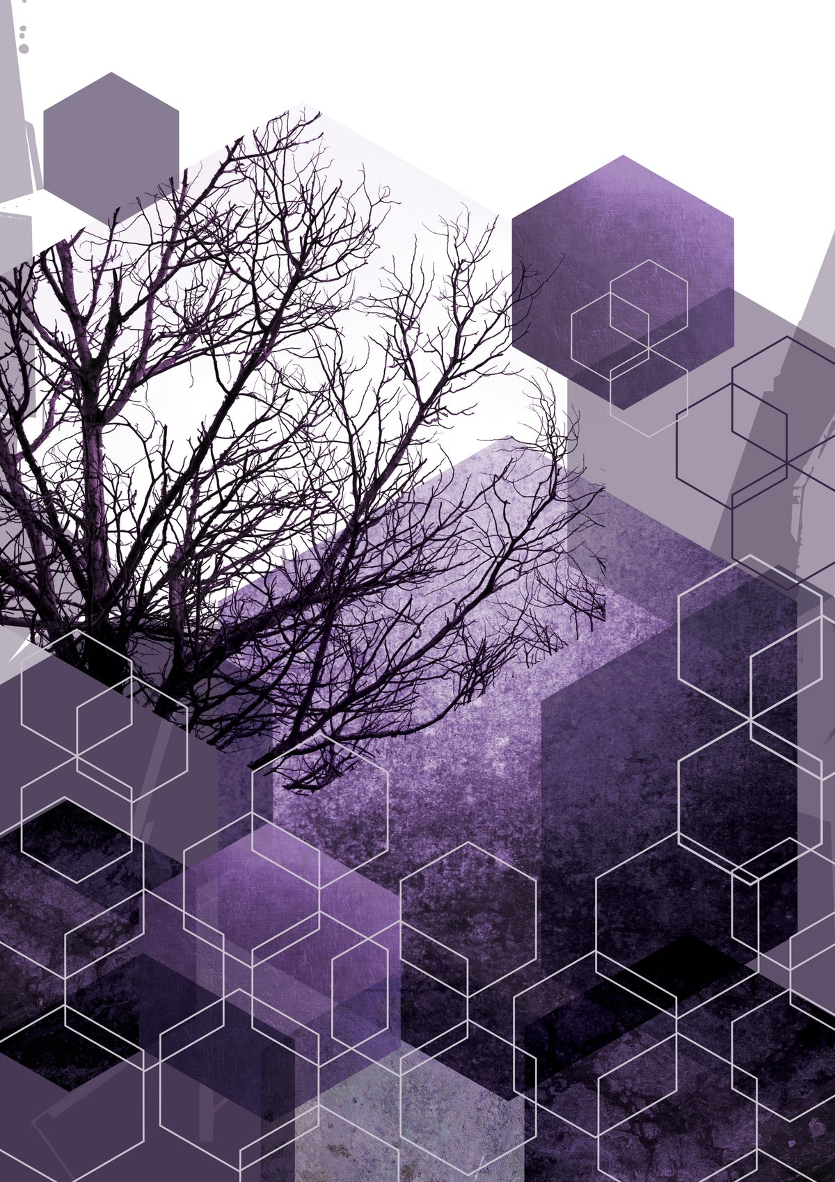 Shadowed Geometry Wall Mural