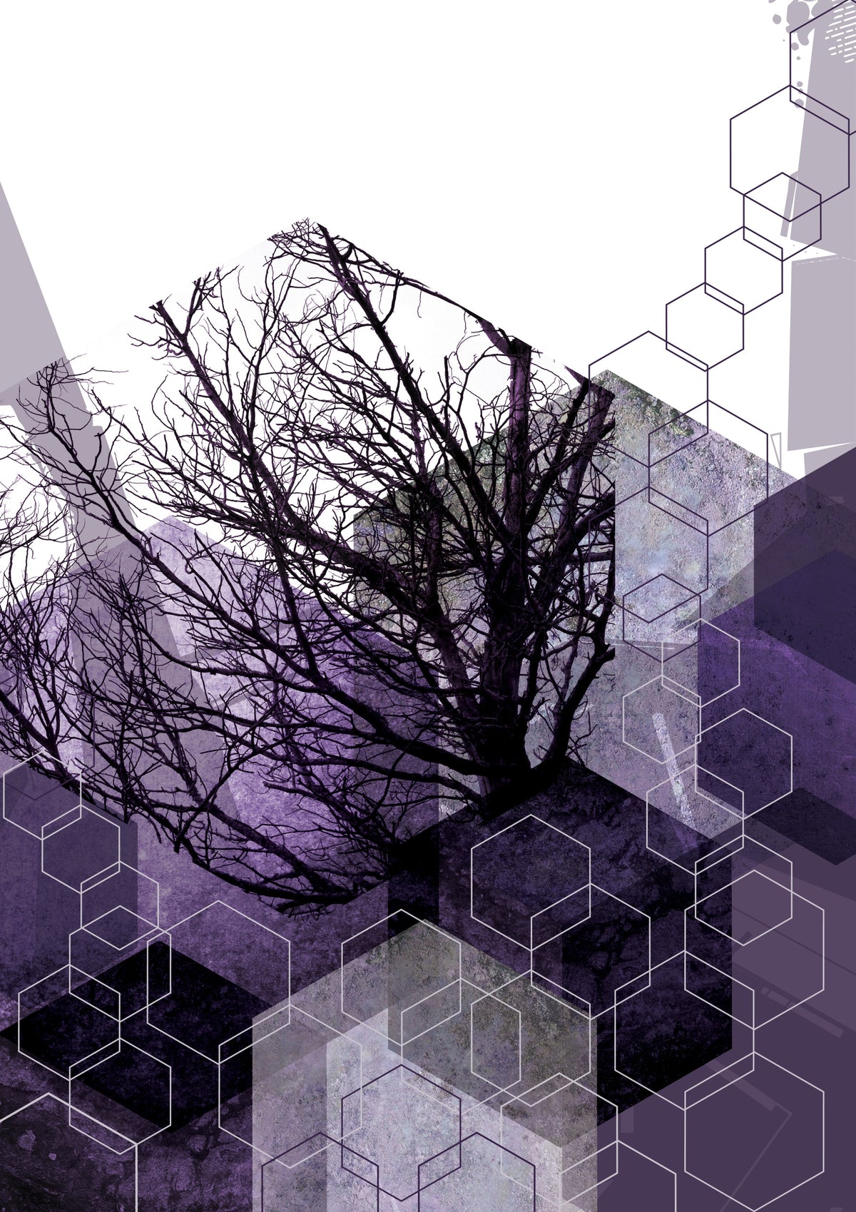 Geometric Arbor Veil Wall Mural in your room — zoomed
