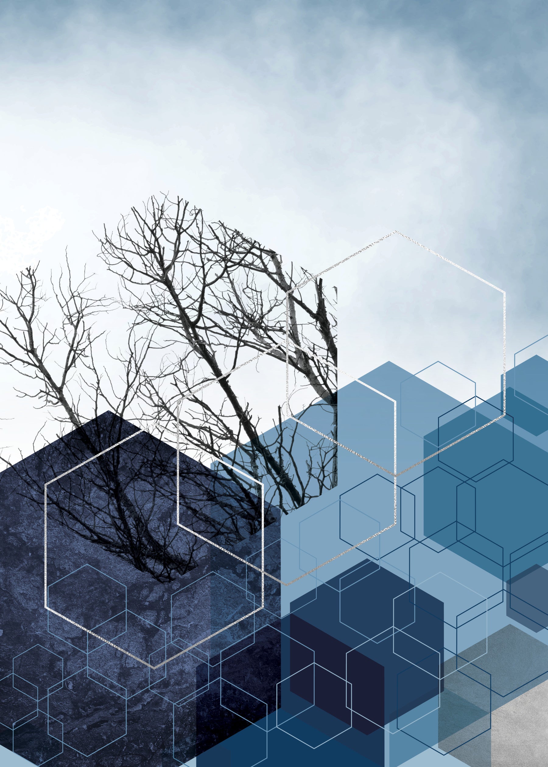 Blue Hexagon Winter Branch Wall Mural