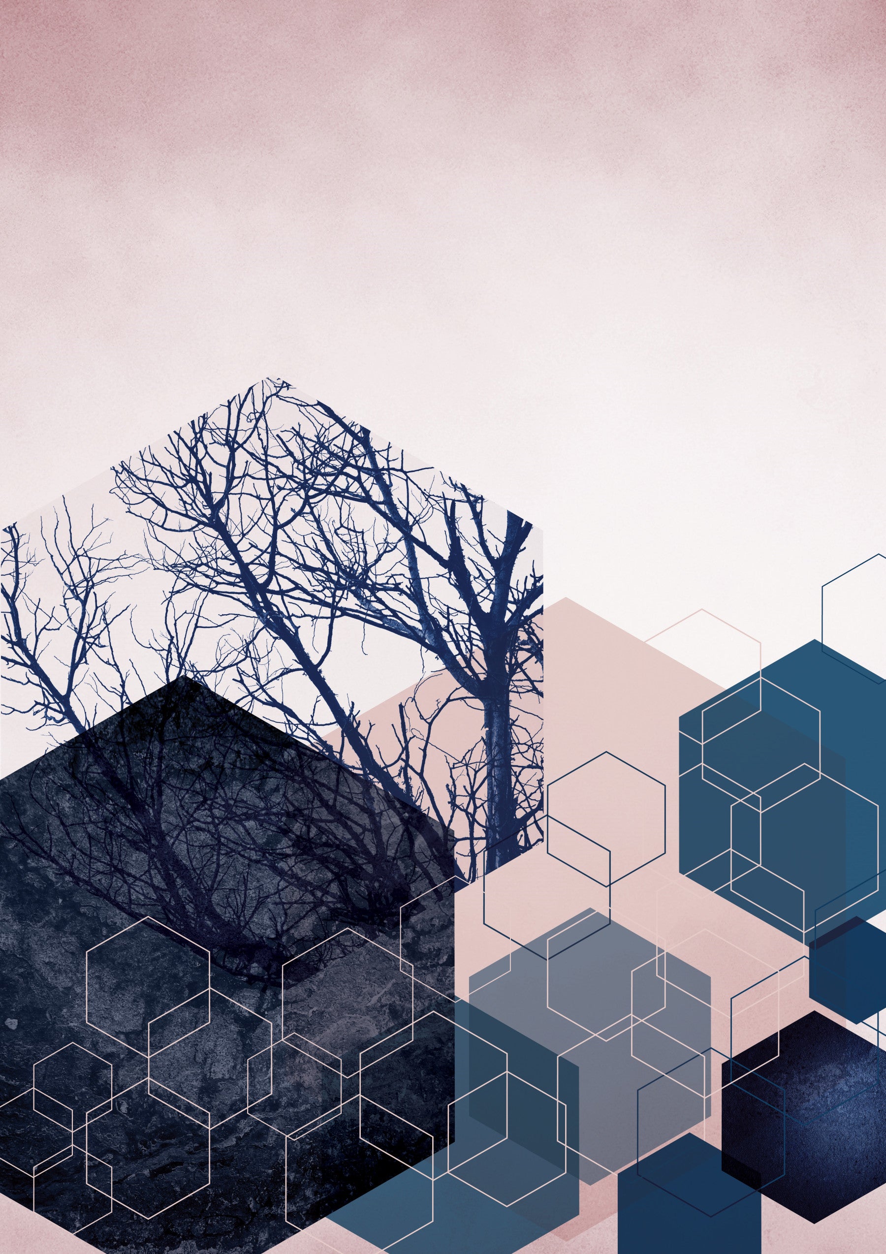 Geometric Grove Midnight & Blush 2 Wall Mural
