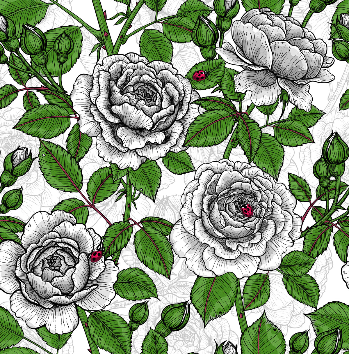 White rose garden Wallpaper⁠