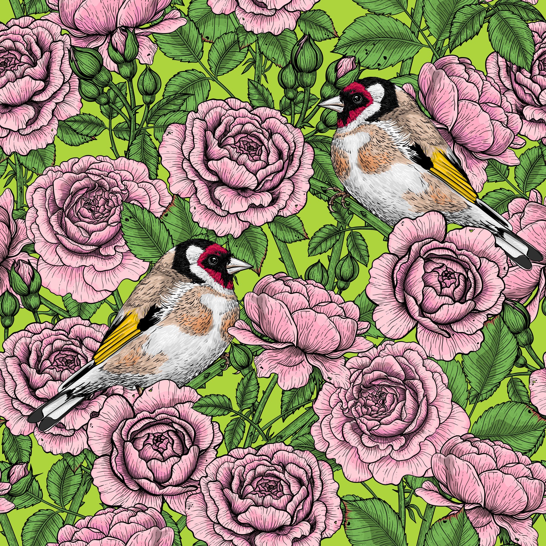 Goldfinch & Rose Garden Delight Wallpaper⁠
