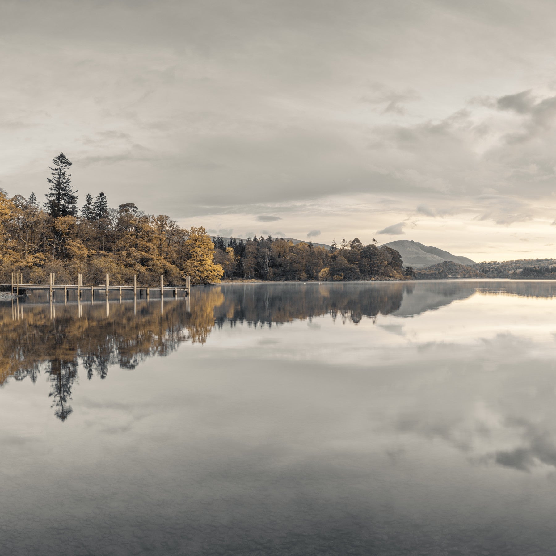 Golden Lakeside Tranquility Wall Mural