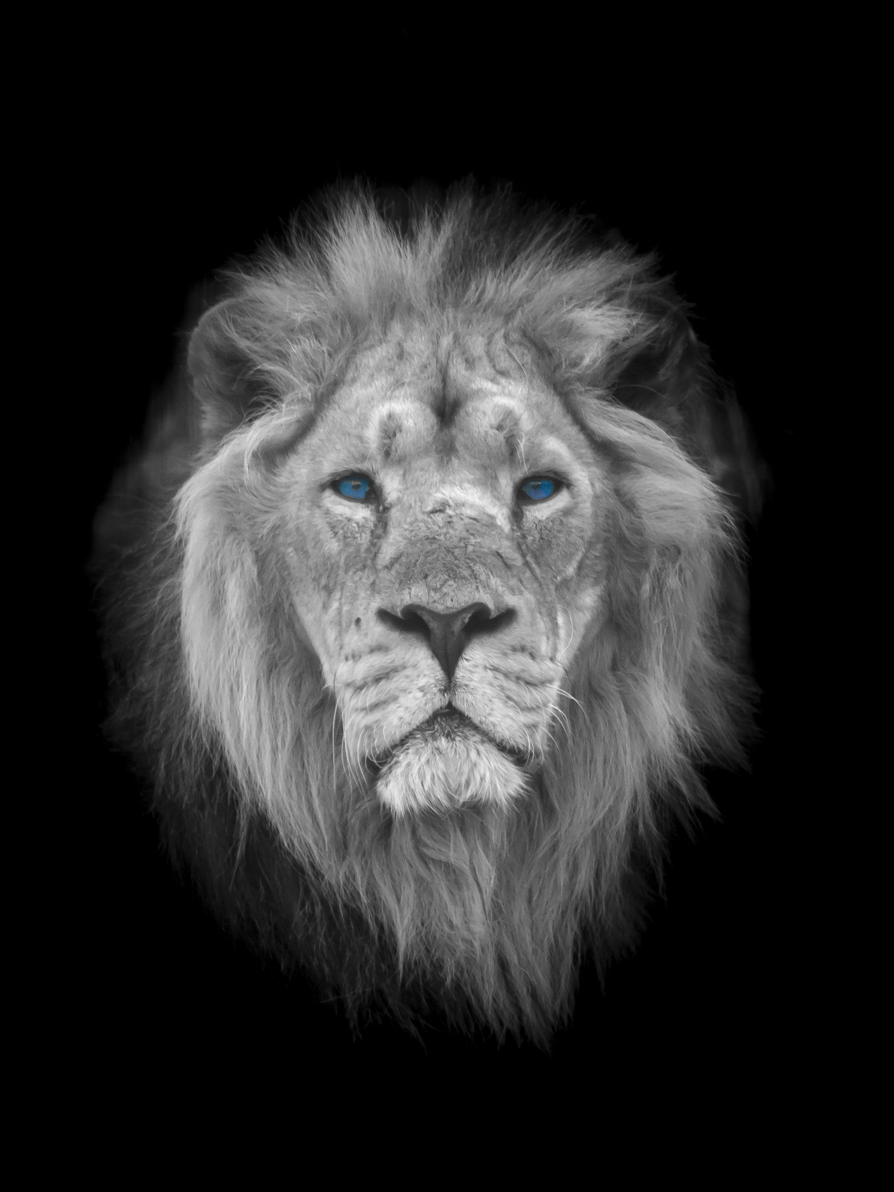 Azure Eye King Wall Mural