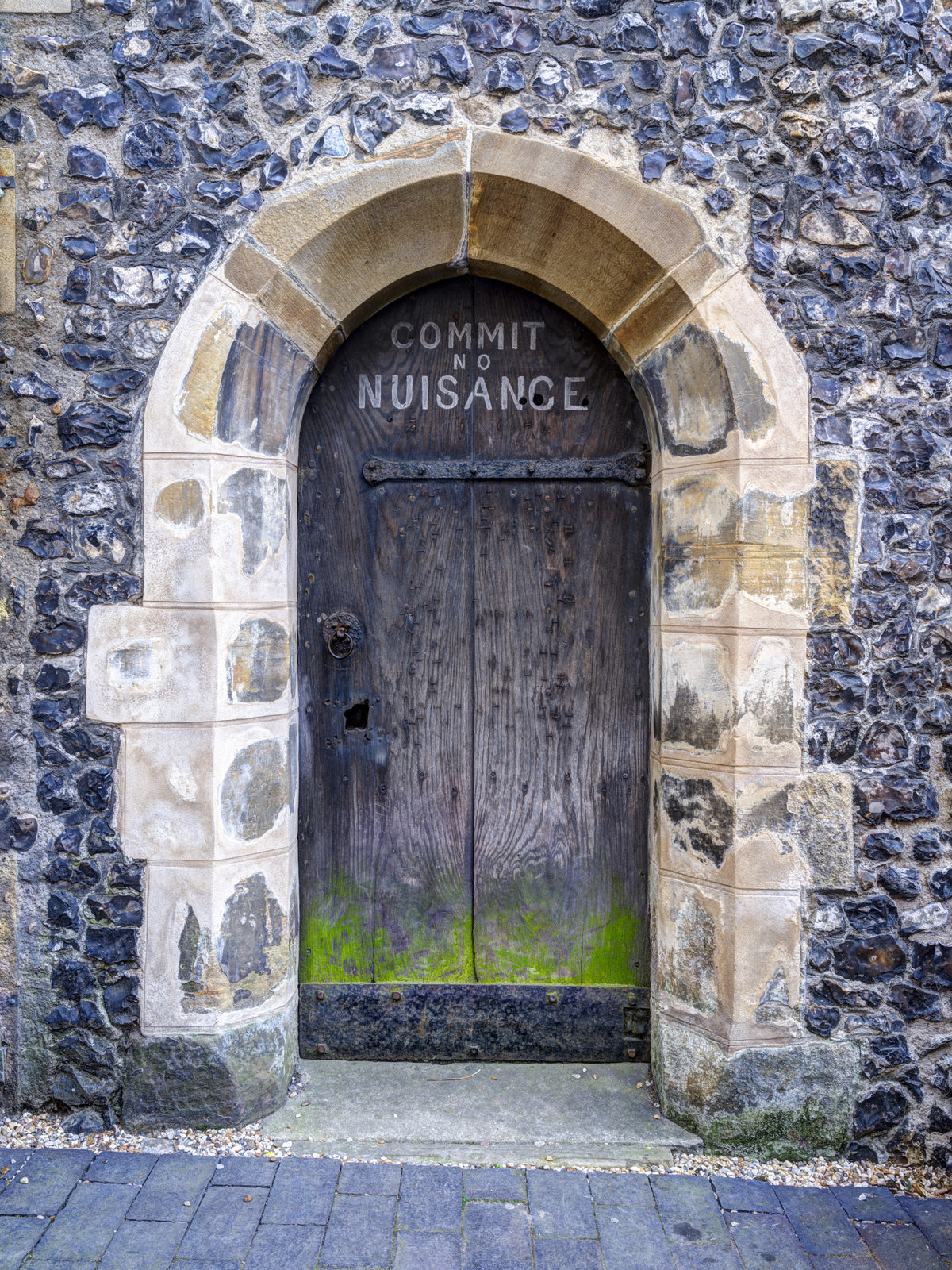 Arched Entry: Commit No Nuisance Wall Mural