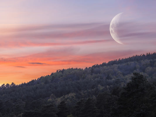 Twilight Forest & Crescent Moon Wall Mural