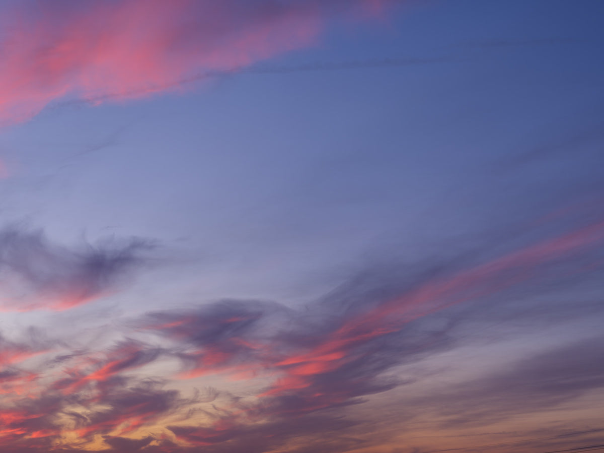 Twilight Bloom Sky Wall Mural in your room — zoomed