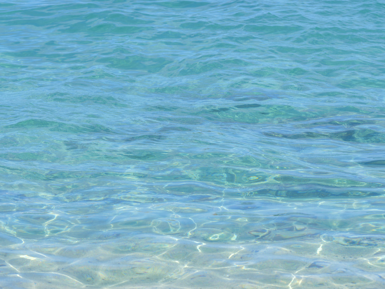 Aqua Serenity Wall Mural