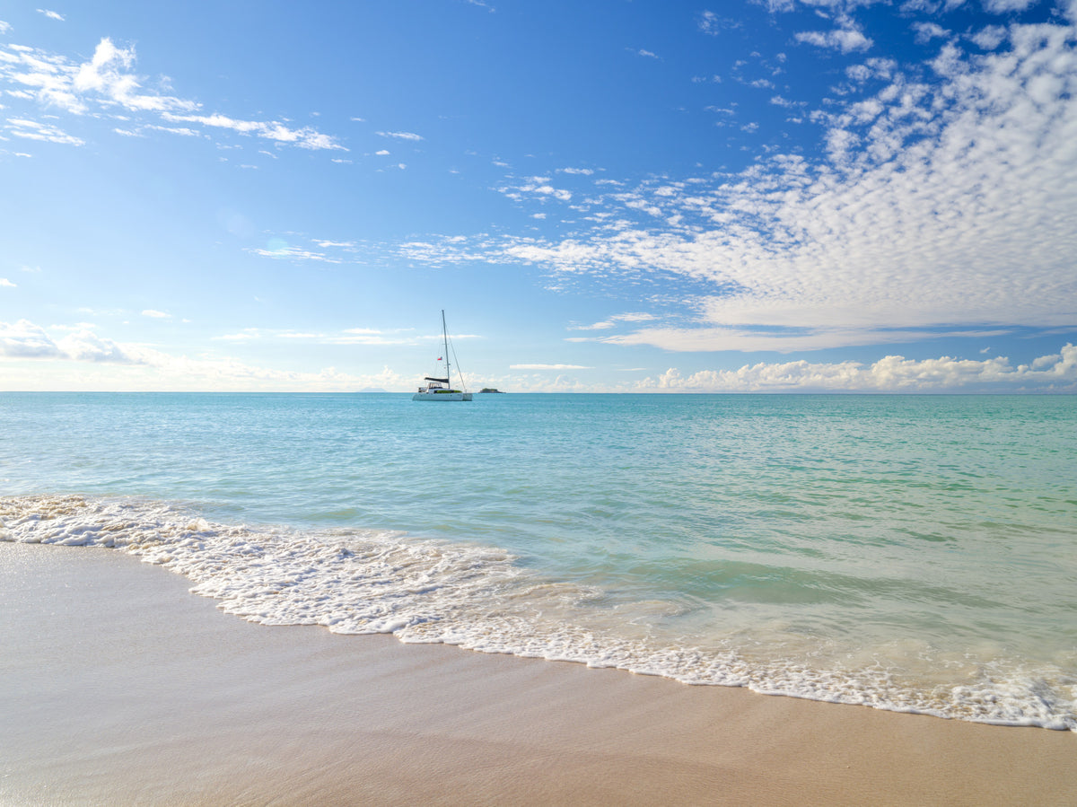 Sandy Cove Serenity Wall Mural in your room — zoomed