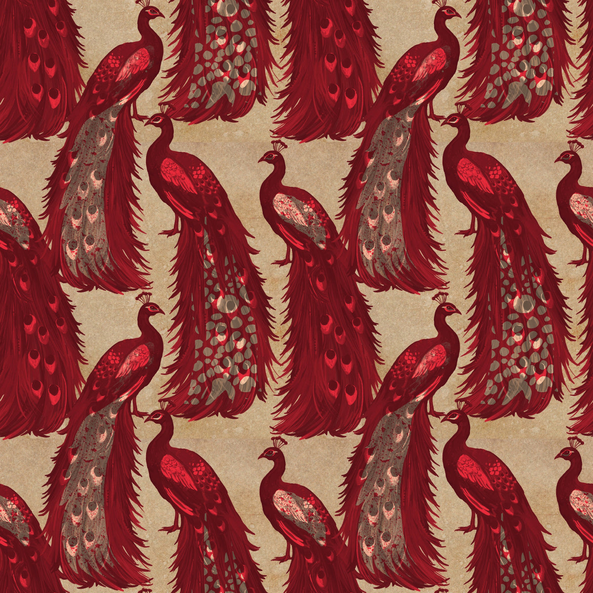 Crimson Elegance Peacock Wallpaper
