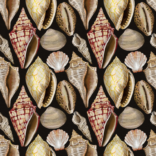 Moody Vintage Seashells Wallpaper Wallpaper⁠