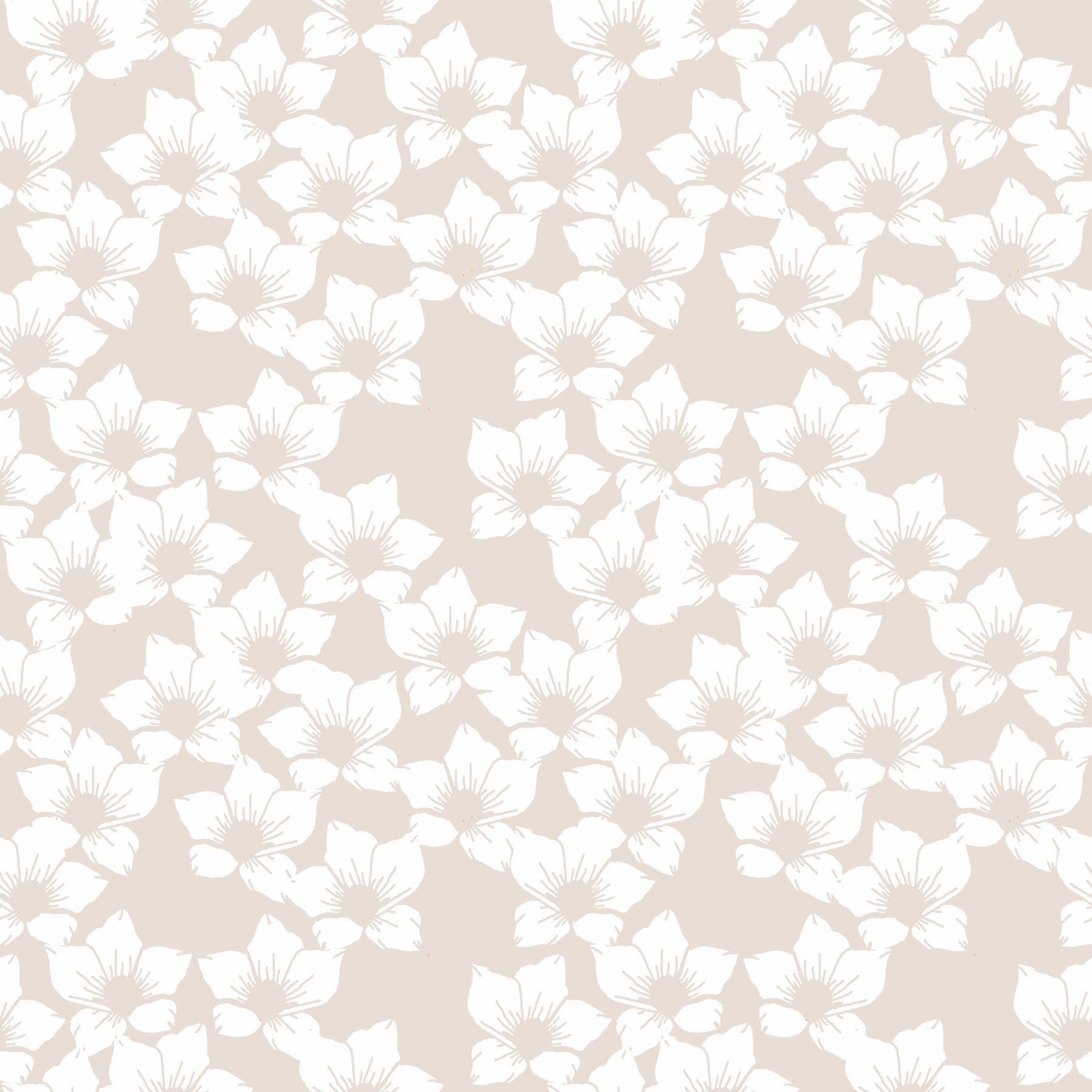 White cottagecore flowers on Taupe biege Wallpaper⁠