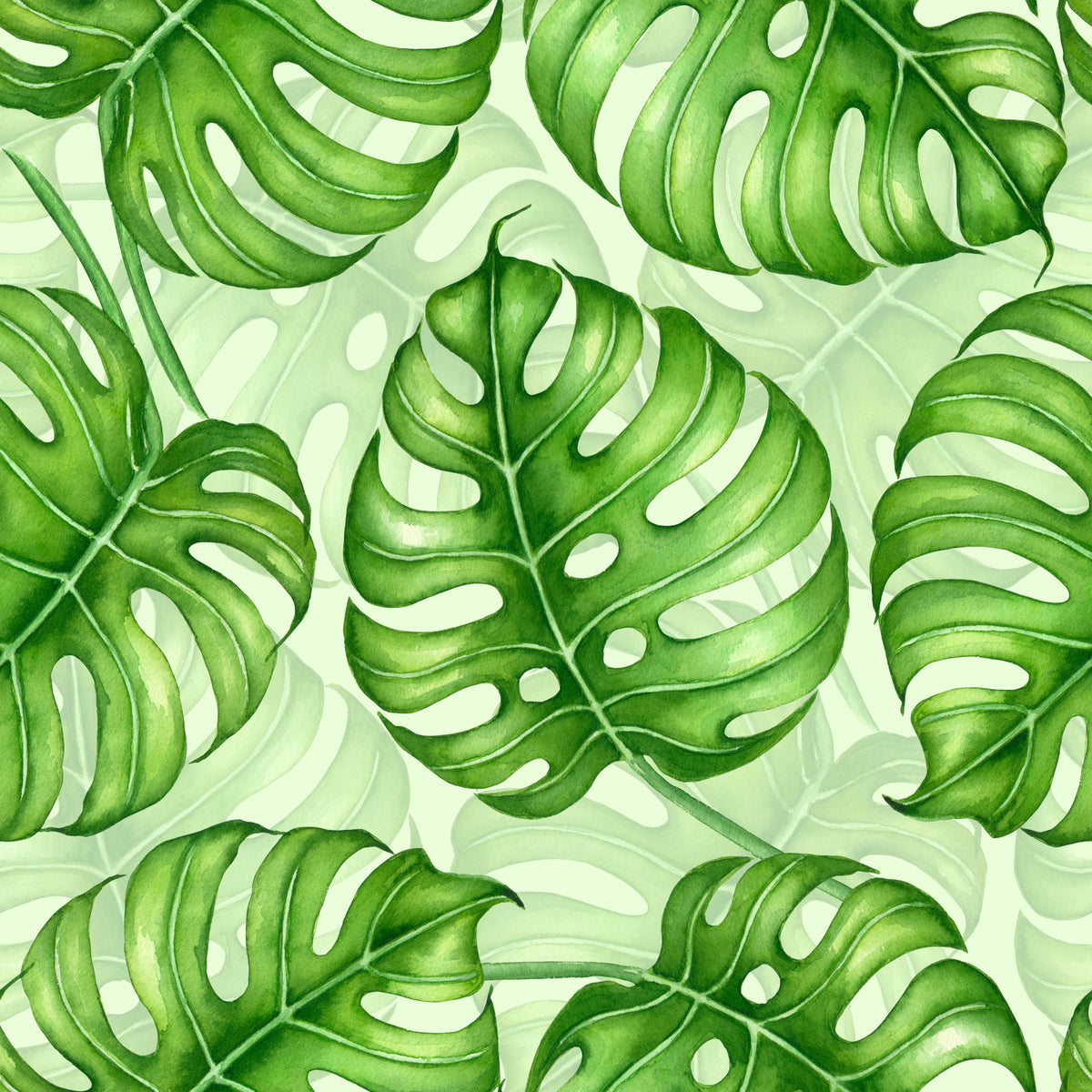 Monstera watercolor  in green Wallpaper⁠