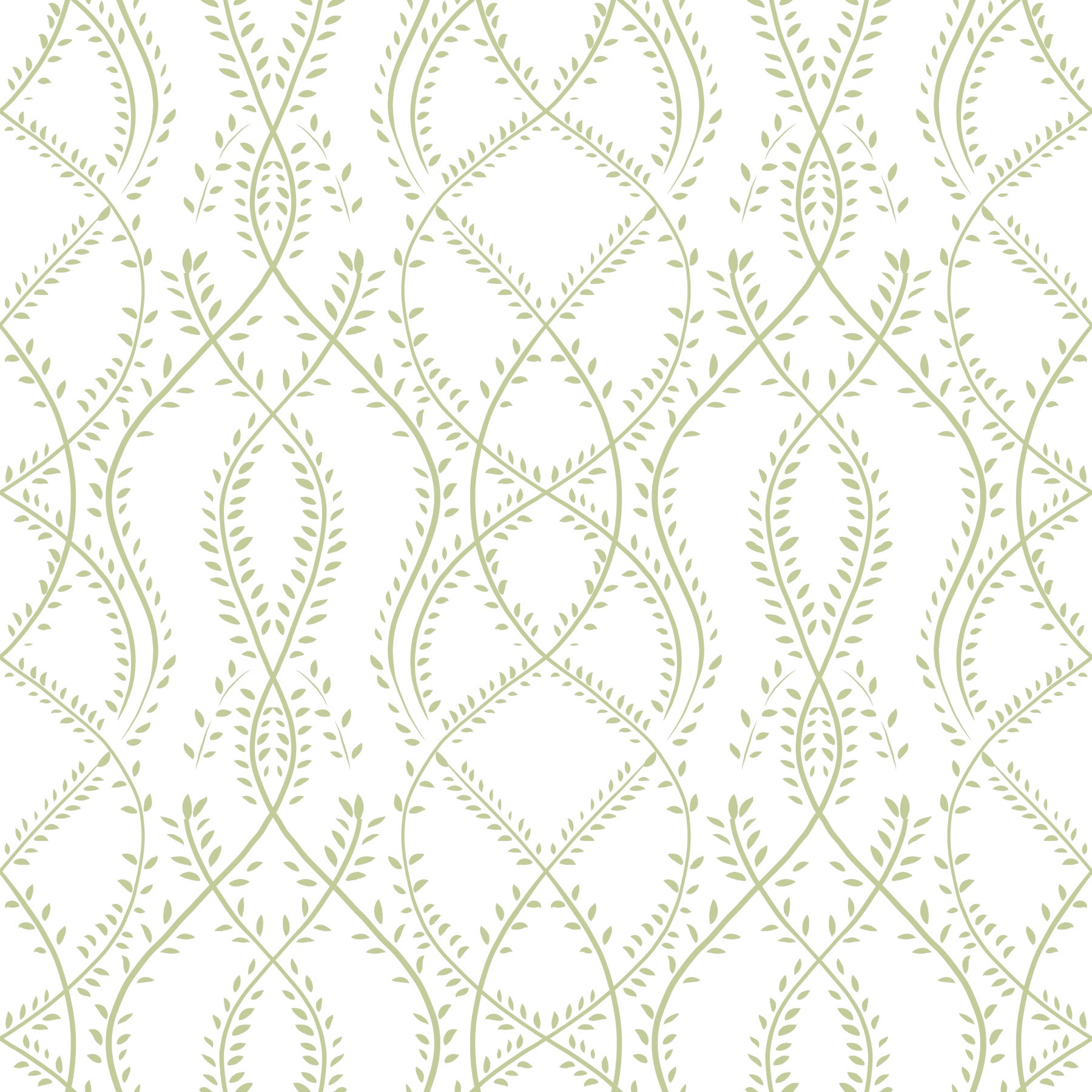 Sage Green Intertwined Botanical Vines Wallpaper⁠