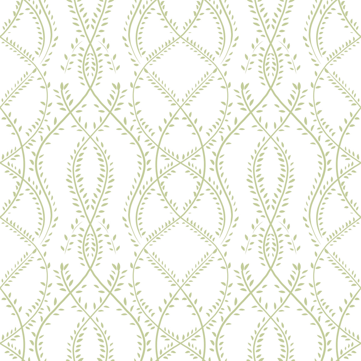 Sage Green Botanical Vine Trellis Wallpaper⁠ in your room — zoomed
