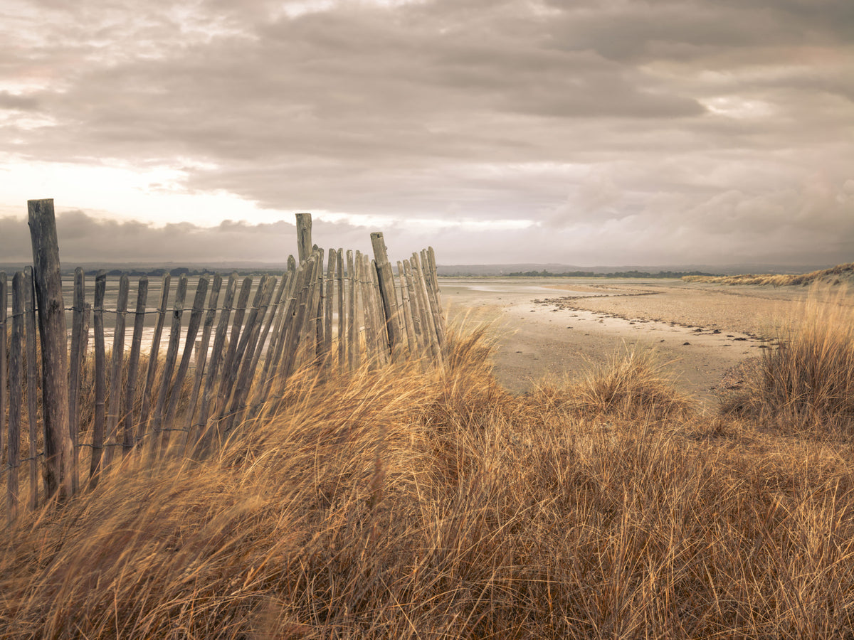 Golden Dunes and Rustic Coastal Fence Wall Mural in your room — zoomed