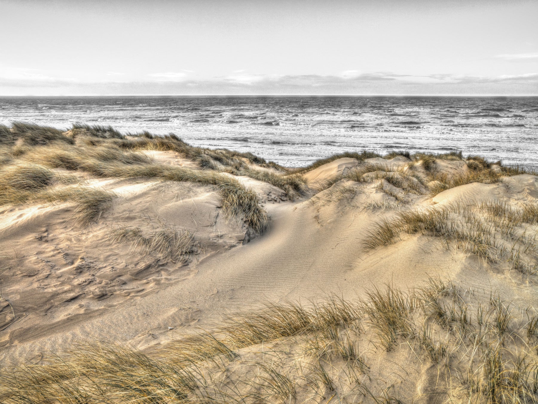 Dune Winds and Coastal Tide Wall Mural