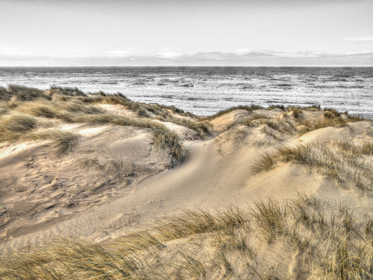 Dune Winds and Coastal Tide Wall Mural