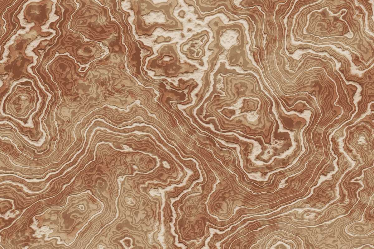 Concentric Earth Agate Texture Wall Mural