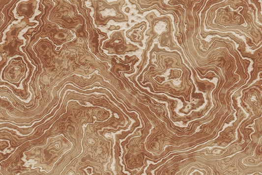 Concentric Earth Agate Texture Wall Mural