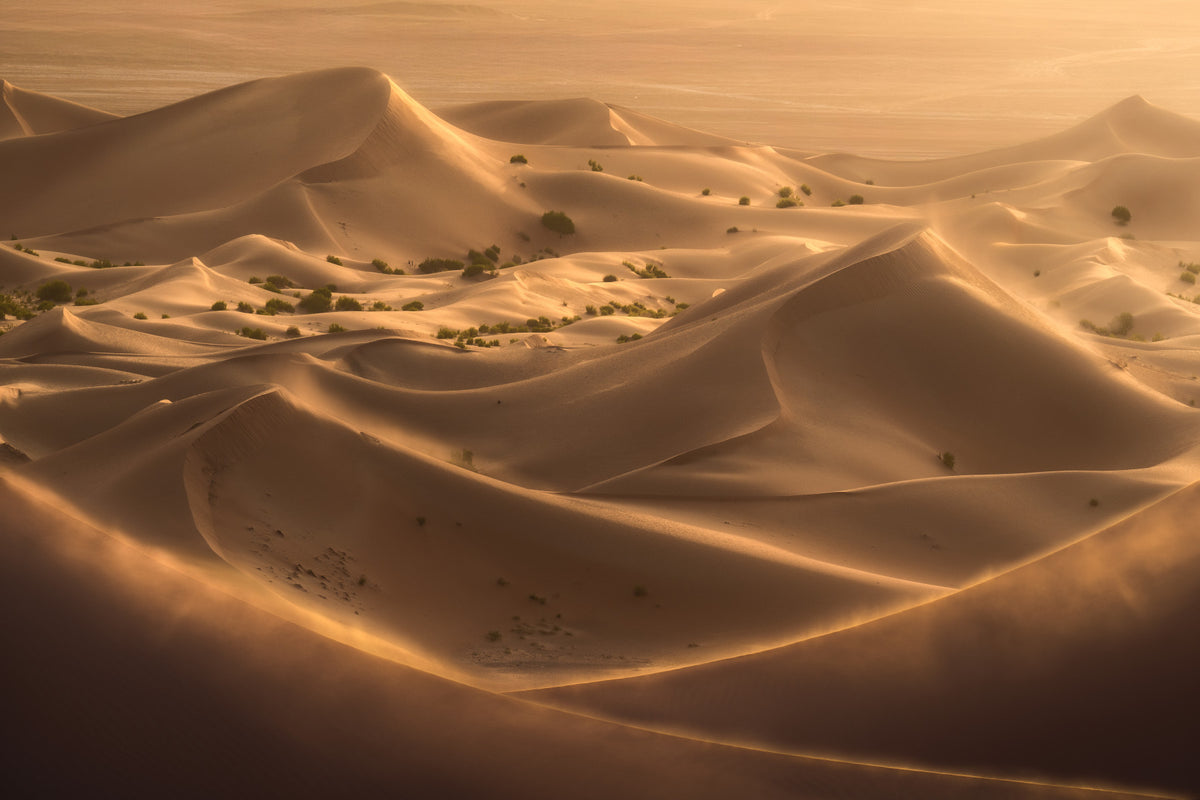 Golden Hour Desert Dunes Wall Mural in your room — zoomed