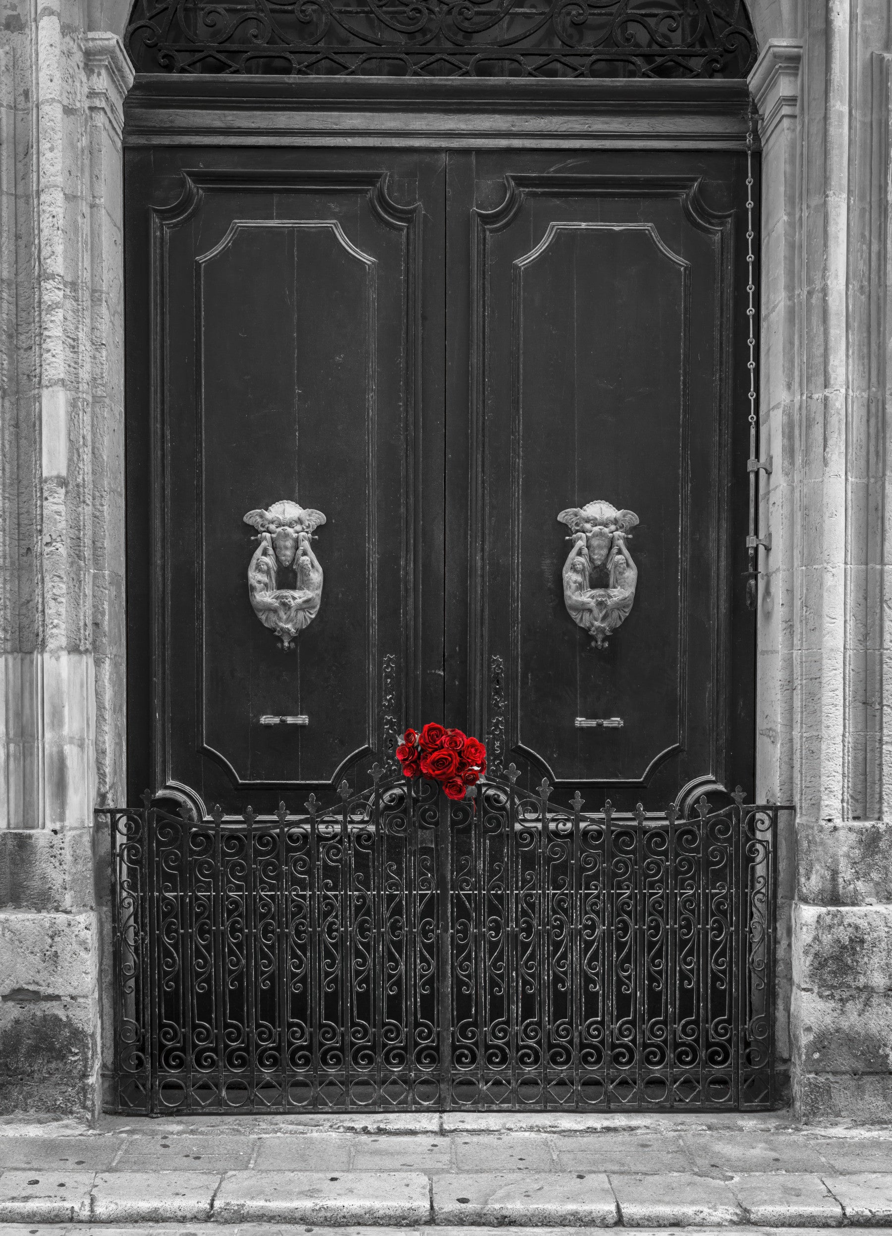 Scarlet Roses on Antique Iron Gate Wall Mural