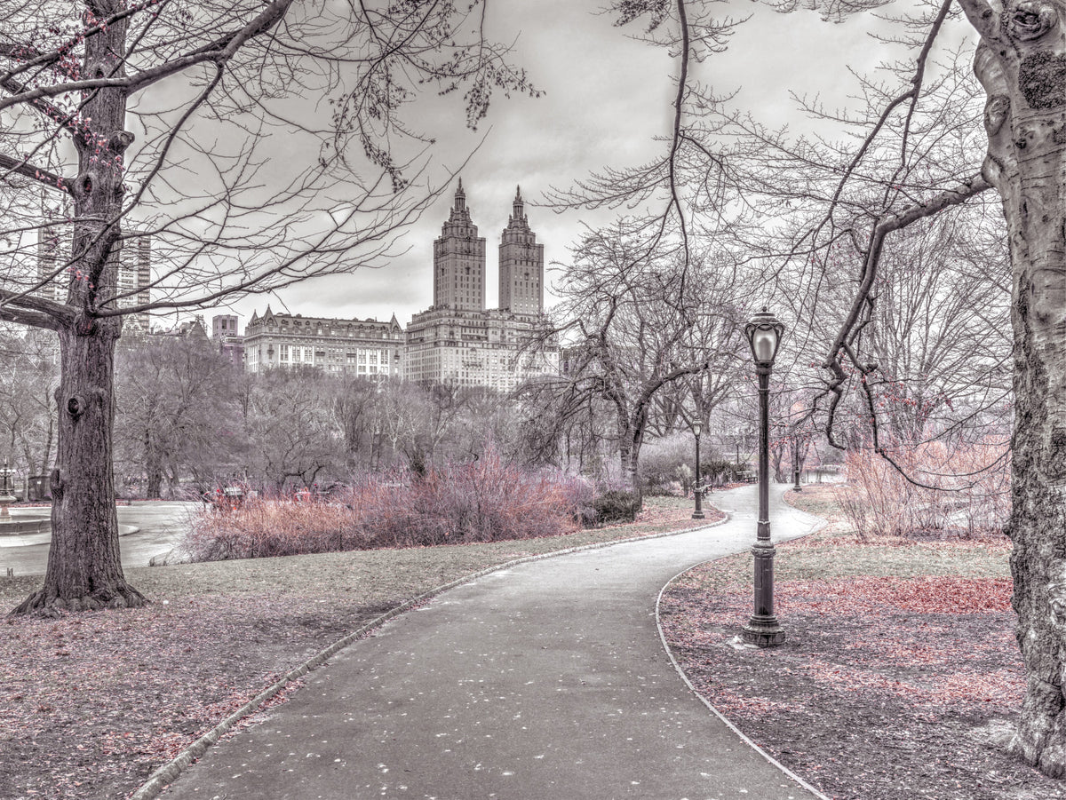 Central Park Skyline Promenade Wall Mural in your room — zoomed