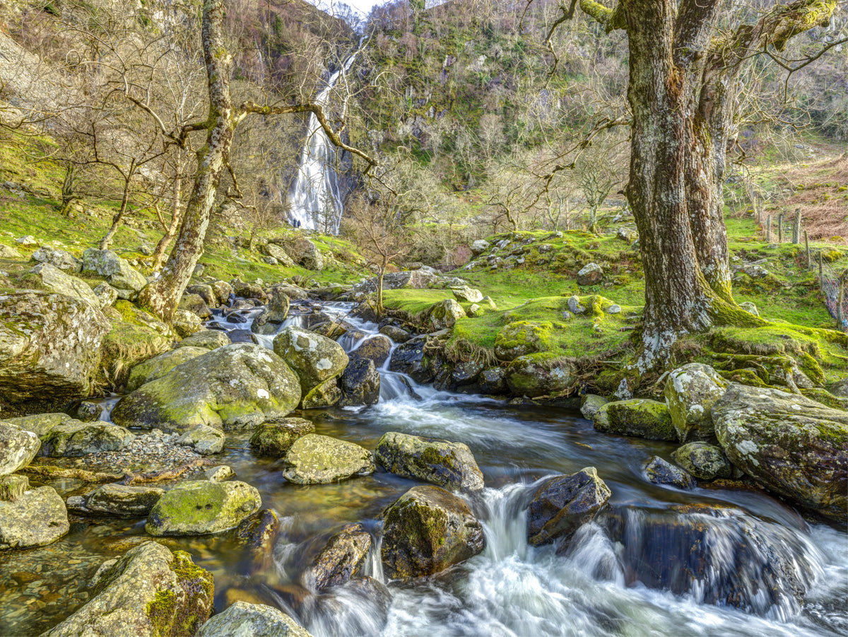 Cascading Highland Waterfall Stream Wall Mural in your room — zoomed