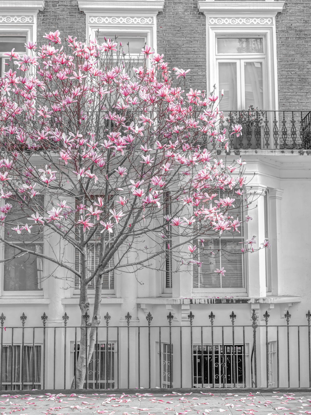 Spring Magnolia Urban Bloom Wall Mural