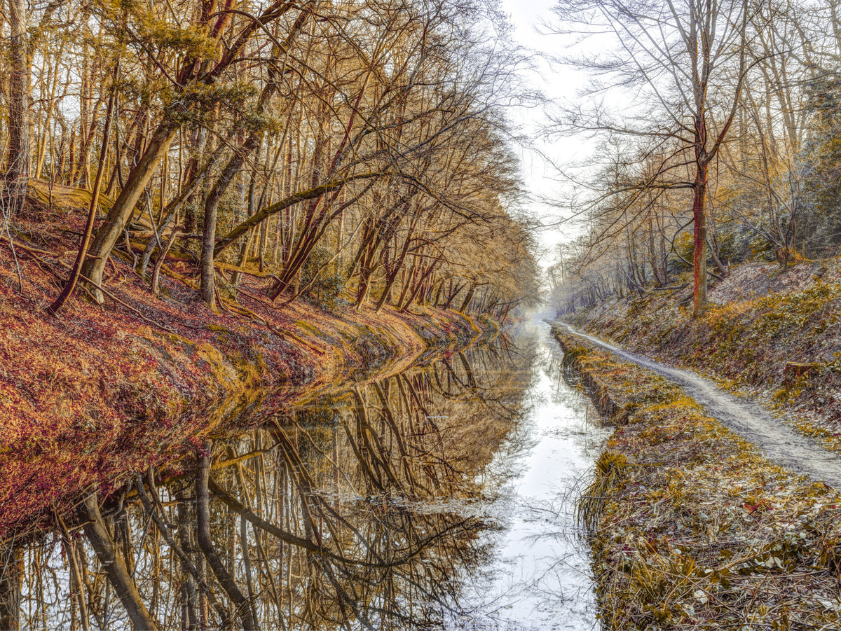 Autumn Canal Reflections Wall Mural in your room — zoomed