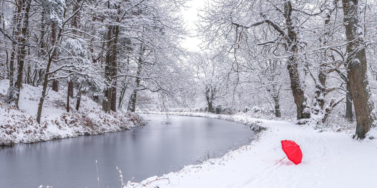 Winter Forest Red Umbrella Wall Mural in your room — zoomed