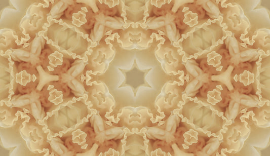 Soft Peach Ruffled Kaleidoscope Wallpaper⁠
