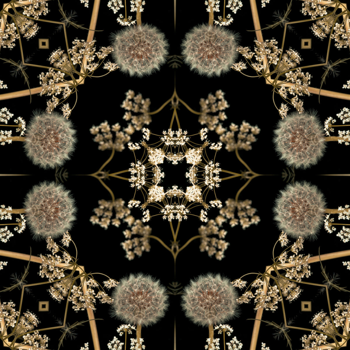 Midnight Dandelion Mandala Wallpaper⁠ in your room — zoomed