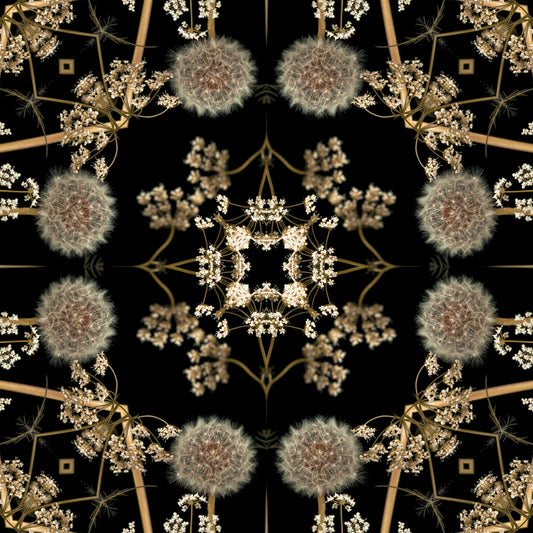 Midnight Dandelion Mandala Wallpaper⁠