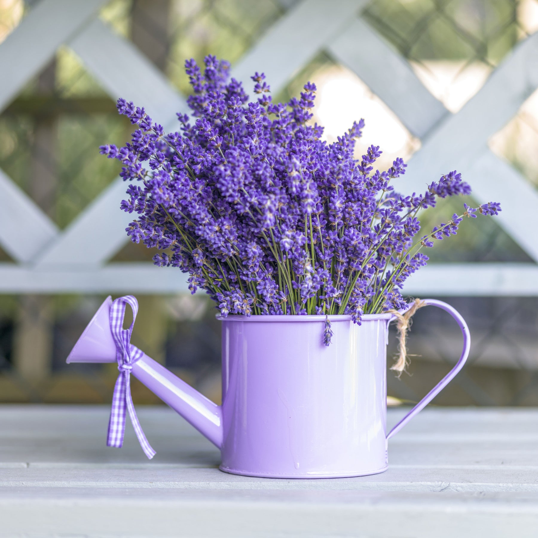 Purple Lavender Watering Can Garden Wall Mural