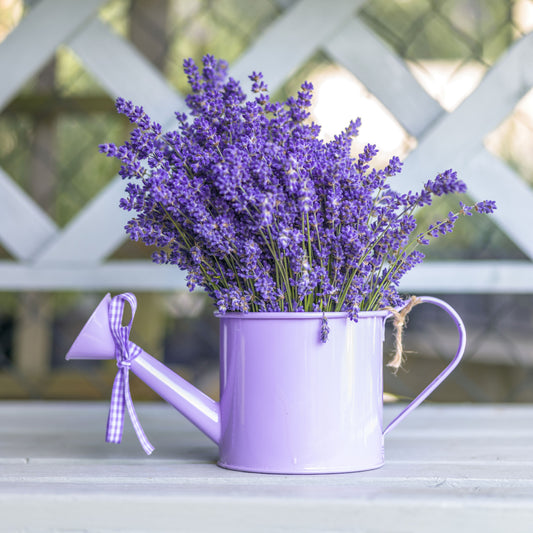 Purple Lavender Watering Can Garden Wall Mural