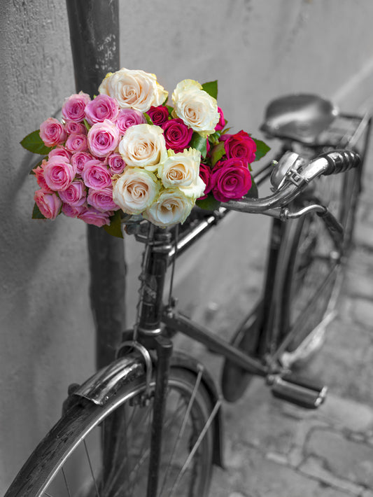 Vintage Floral Bike Journey Wall Mural