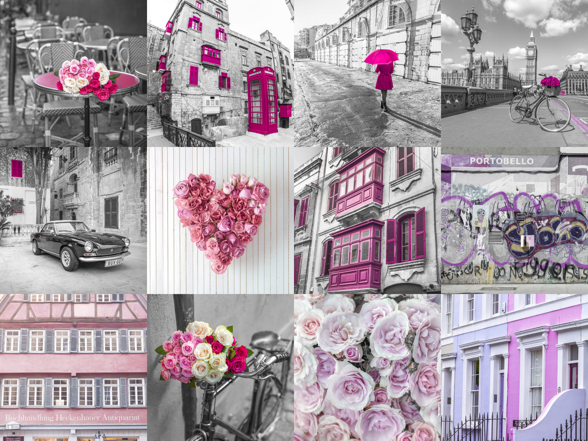 Monochrome Rose Cityscape Fusion Wall Mural in your room — zoomed