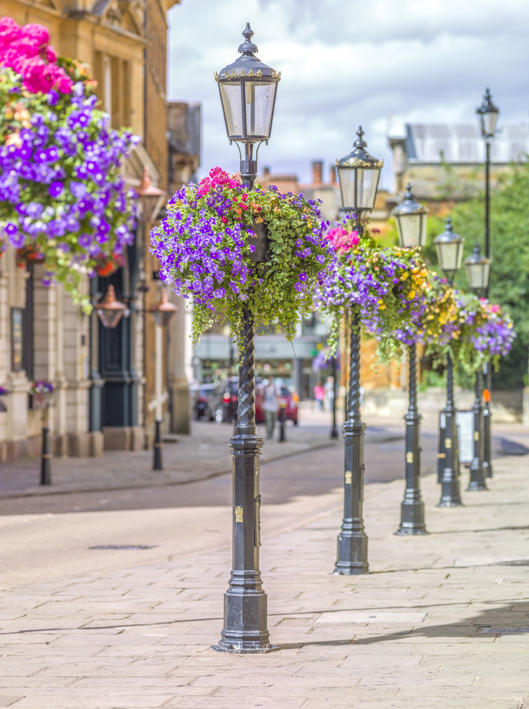 English Garden Street Vista Wall Mural