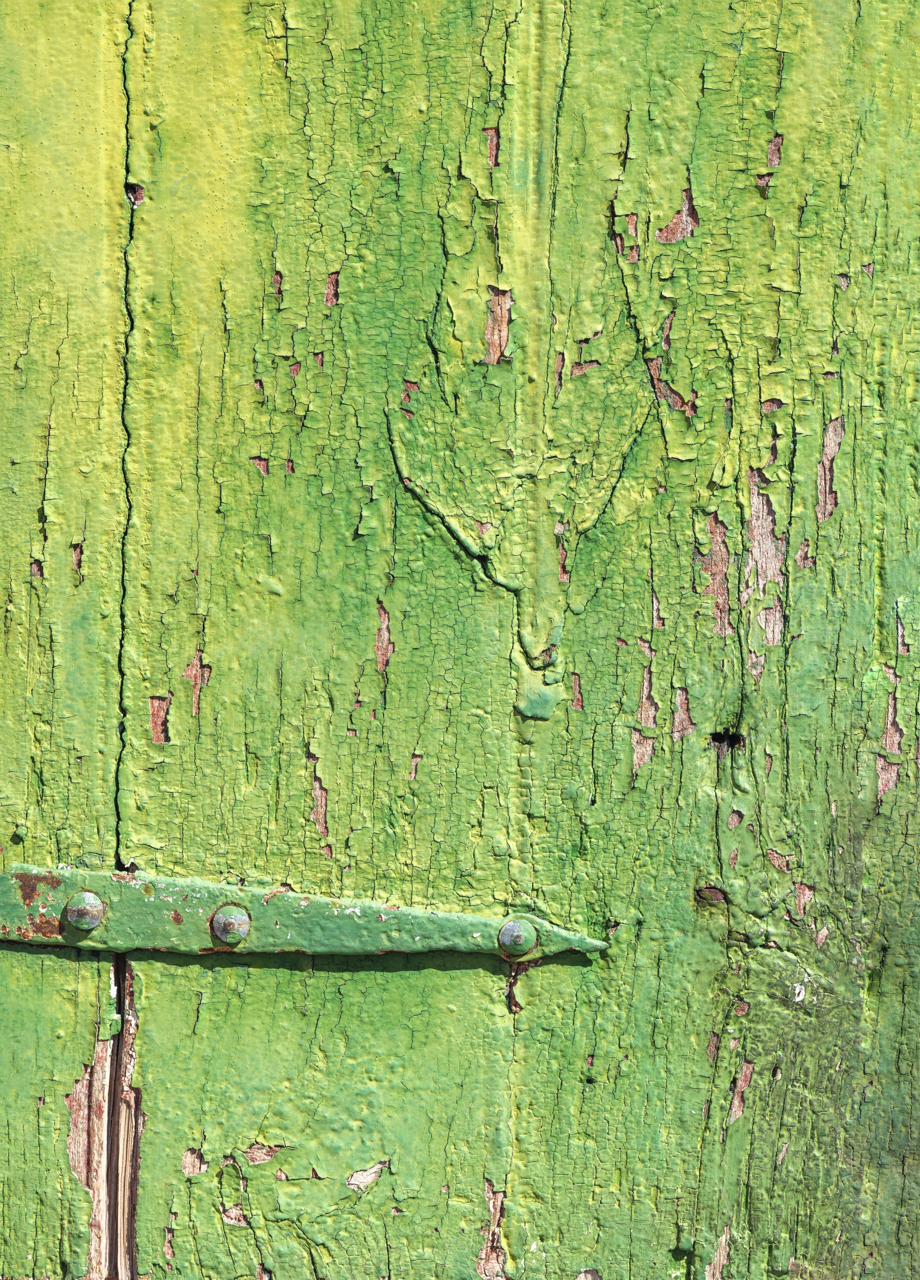 Rustic Industrial Green Wood Hinge Wall Mural