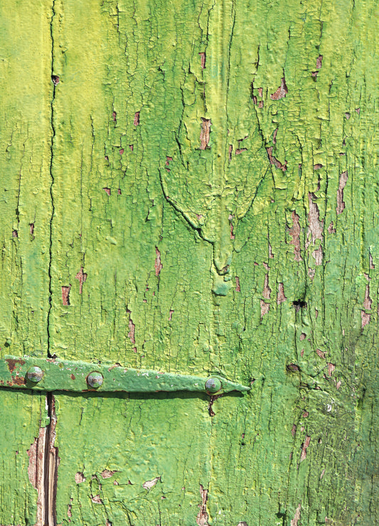 Rustic Industrial Green Wood Hinge Wall Mural
