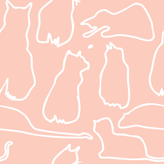 Munki and the Spot - Blush Pink Wallpaper⁠